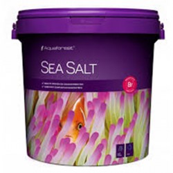 Sea Salt 22 Kg