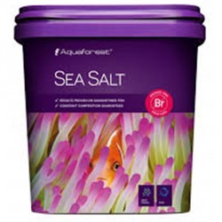 Sea Salt 5 Kg