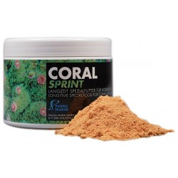 Coral Sprint